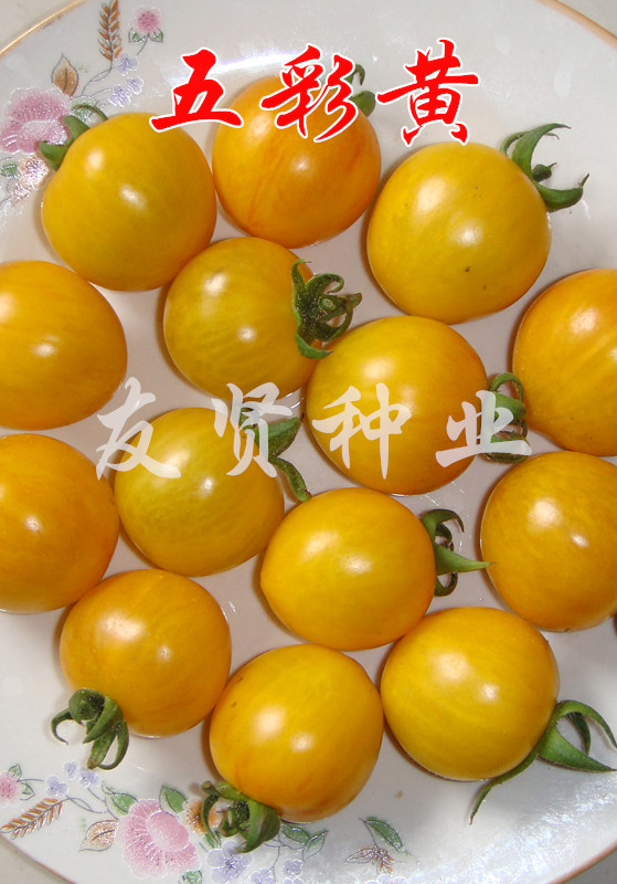 五彩黄