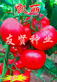 凯丽