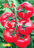 凯美