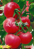 夏星一号